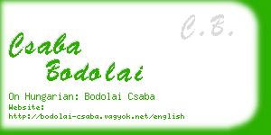 csaba bodolai business card
